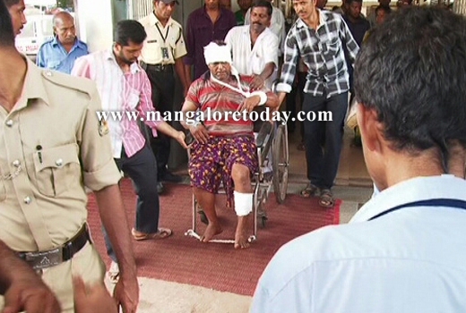 transporting cattle 1